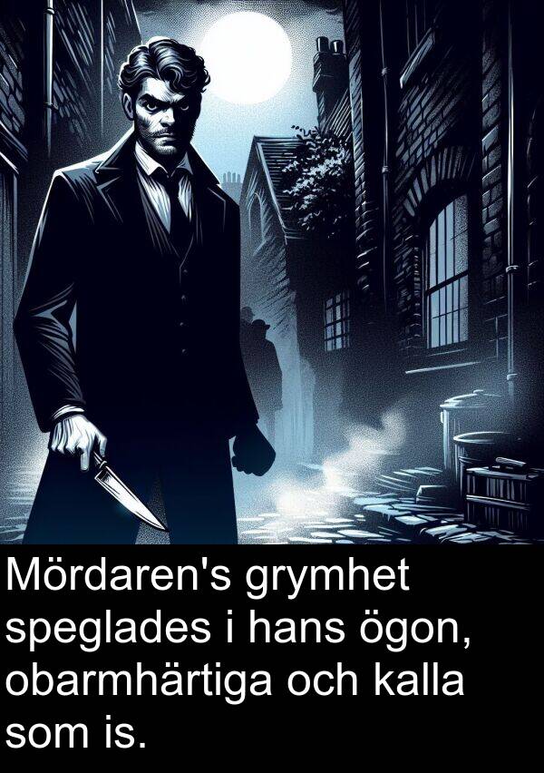 ögon: Mördaren's grymhet speglades i hans ögon, obarmhärtiga och kalla som is.