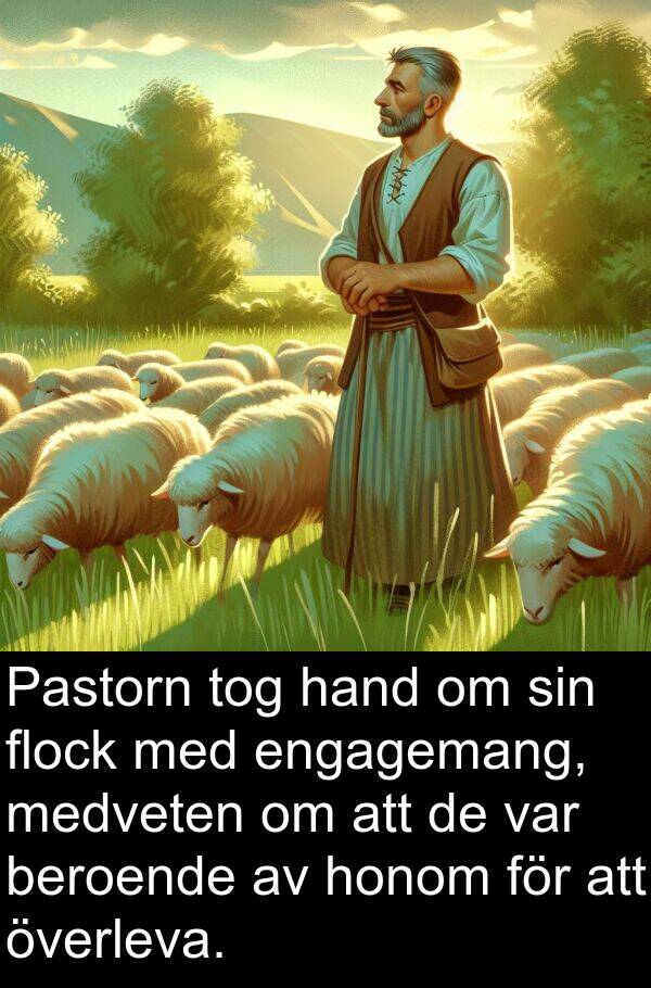 hand: Pastorn tog hand om sin flock med engagemang, medveten om att de var beroende av honom för att överleva.