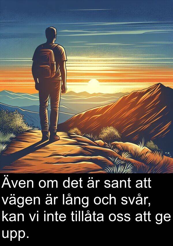 lång: Även om det är sant att vägen är lång och svår, kan vi inte tillåta oss att ge upp.