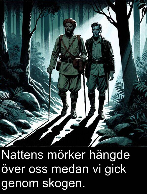 genom: Nattens mörker hängde över oss medan vi gick genom skogen.