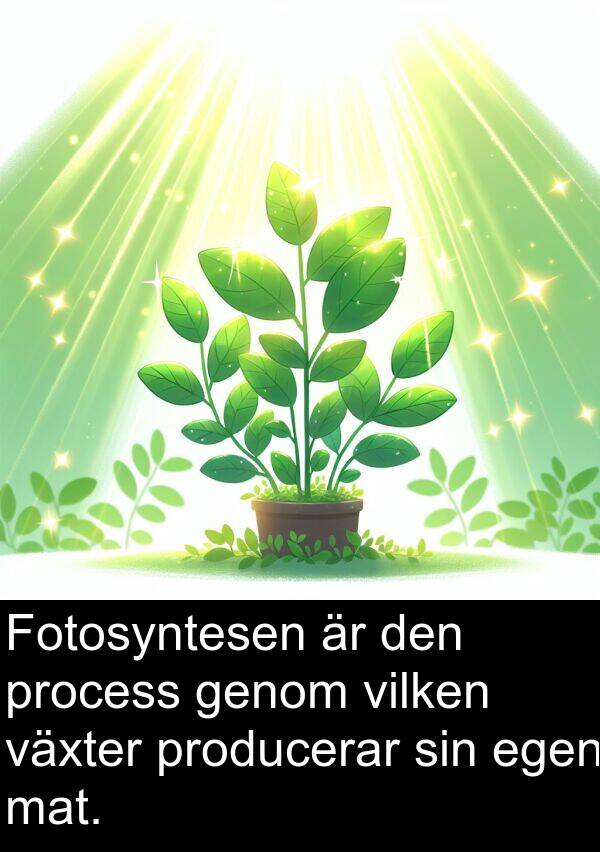 egen: Fotosyntesen är den process genom vilken växter producerar sin egen mat.