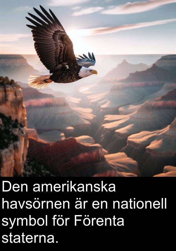 nationell: Den amerikanska havsörnen är en nationell symbol för Förenta staterna.