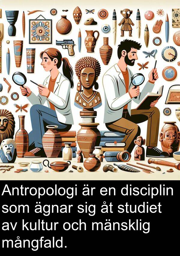 mångfald: Antropologi är en disciplin som ägnar sig åt studiet av kultur och mänsklig mångfald.