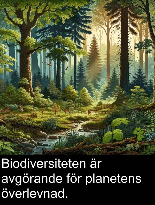 planetens: Biodiversiteten är avgörande för planetens överlevnad.