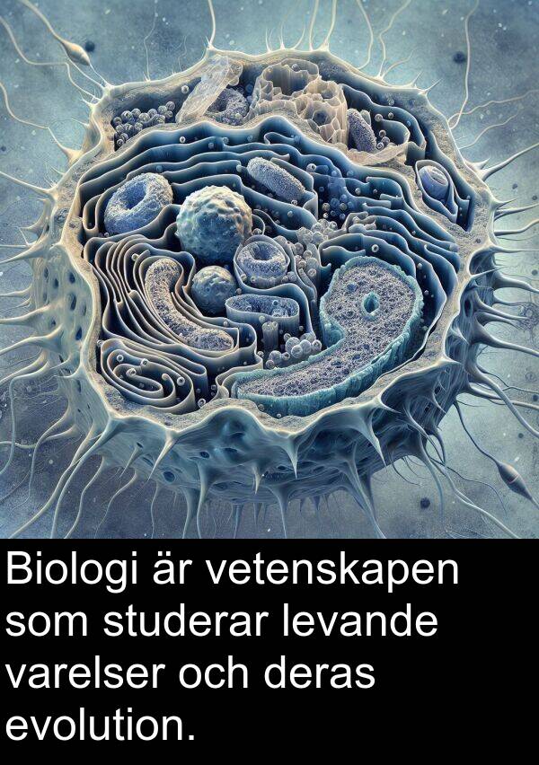 evolution: Biologi är vetenskapen som studerar levande varelser och deras evolution.