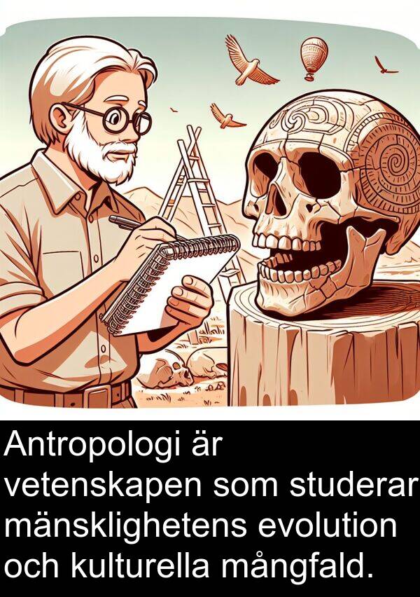 mångfald: Antropologi är vetenskapen som studerar mänsklighetens evolution och kulturella mångfald.