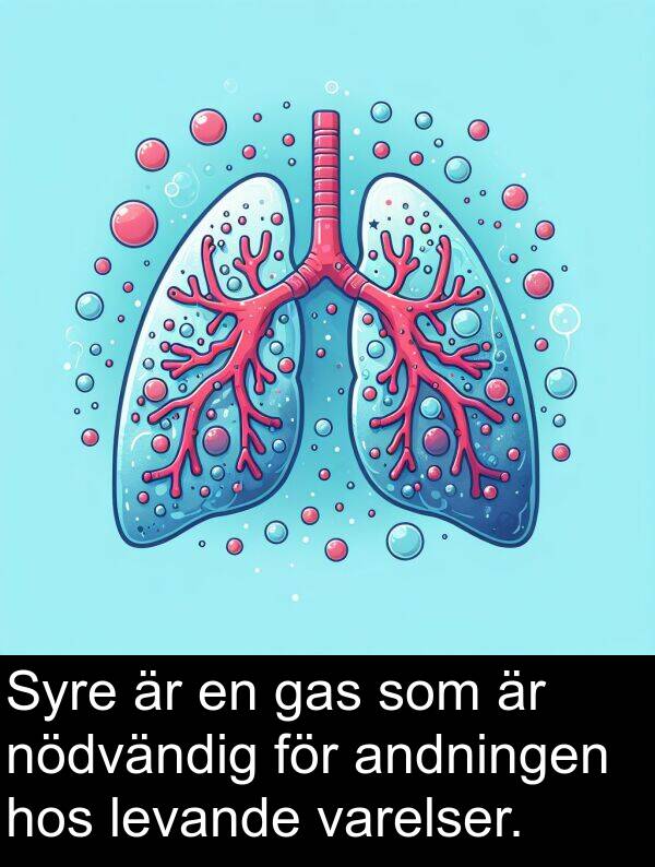 gas: Syre är en gas som är nödvändig för andningen hos levande varelser.