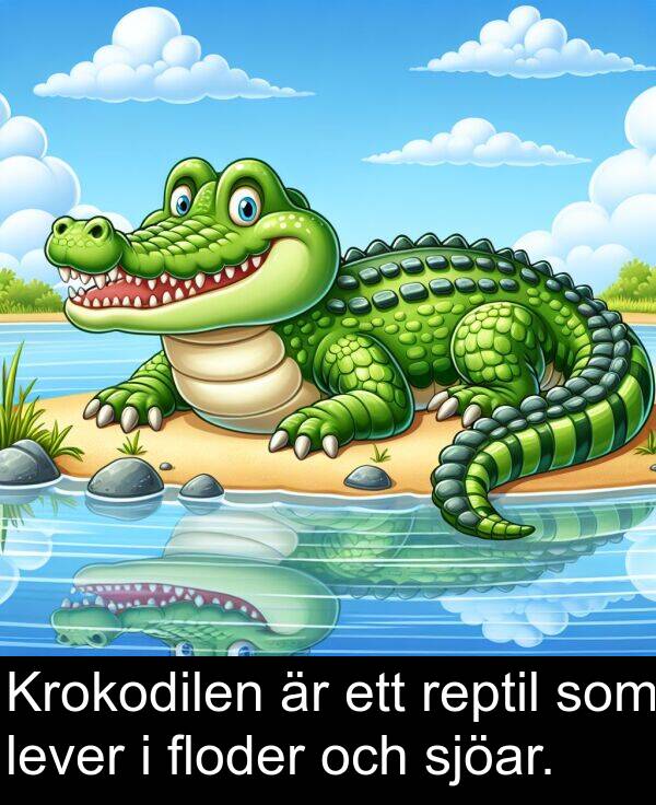 lever: Krokodilen är ett reptil som lever i floder och sjöar.