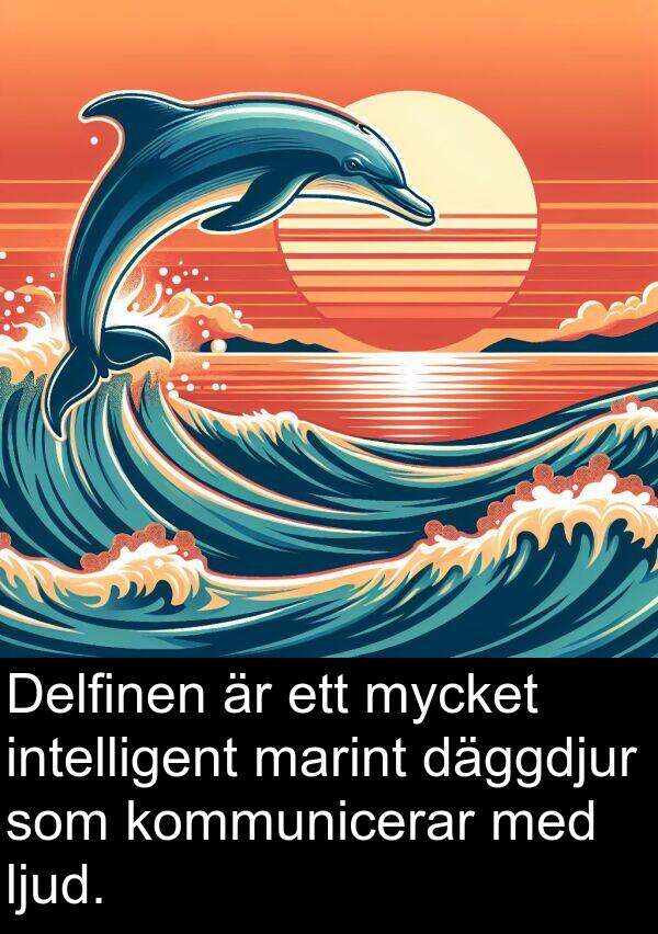 ljud: Delfinen är ett mycket intelligent marint däggdjur som kommunicerar med ljud.