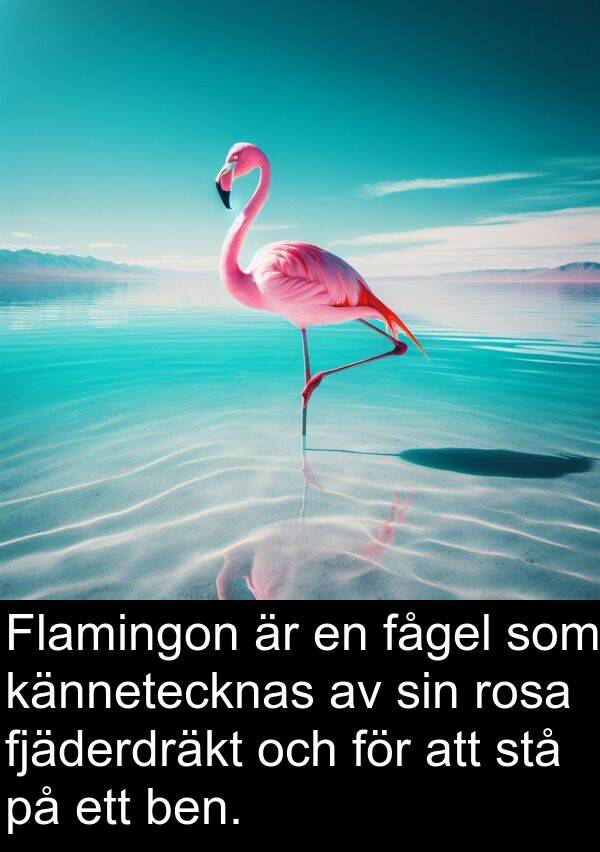 fågel: Flamingon är en fågel som kännetecknas av sin rosa fjäderdräkt och för att stå på ett ben.