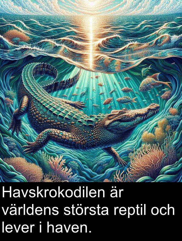 haven: Havskrokodilen är världens största reptil och lever i haven.