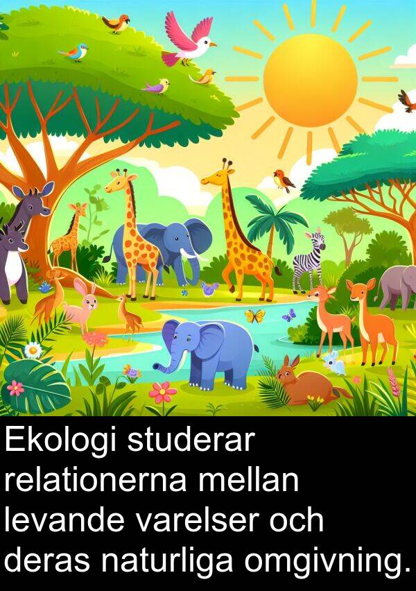 naturliga: Ekologi studerar relationerna mellan levande varelser och deras naturliga omgivning.