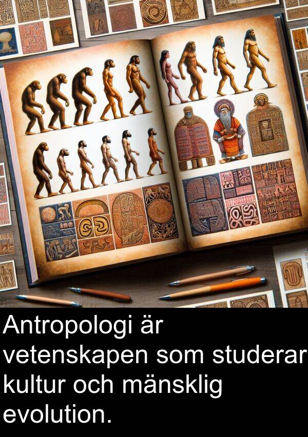 evolution: Antropologi är vetenskapen som studerar kultur och mänsklig evolution.