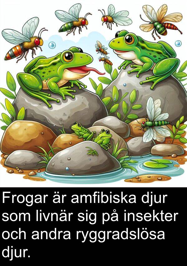 andra: Frogar är amfibiska djur som livnär sig på insekter och andra ryggradslösa djur.