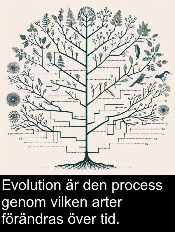 genom: Evolution är den process genom vilken arter förändras över tid.