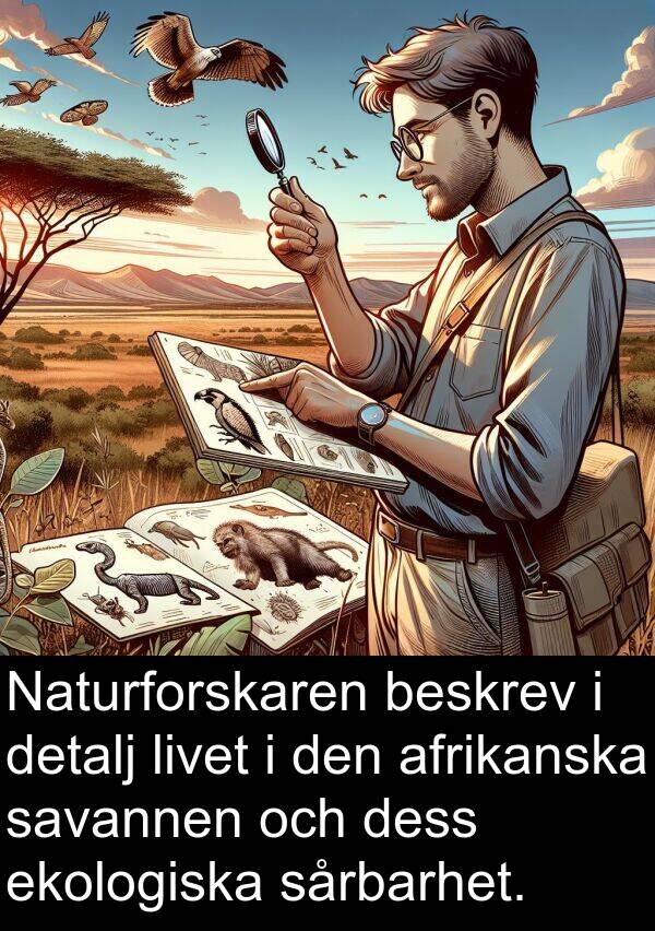 ekologiska: Naturforskaren beskrev i detalj livet i den afrikanska savannen och dess ekologiska sårbarhet.