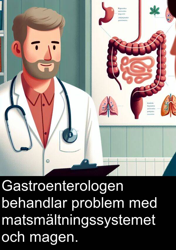 magen: Gastroenterologen behandlar problem med matsmältningssystemet och magen.