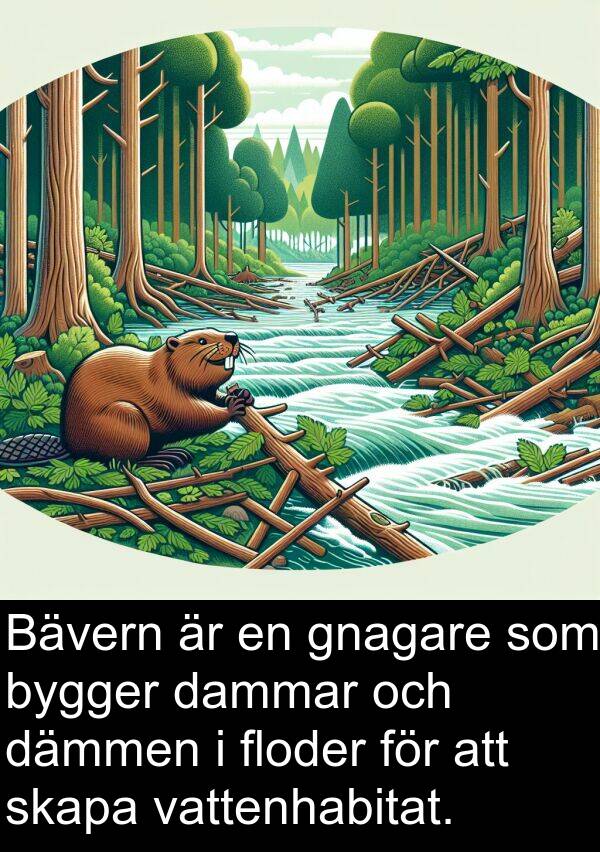 dammar: Bävern är en gnagare som bygger dammar och dämmen i floder för att skapa vattenhabitat.