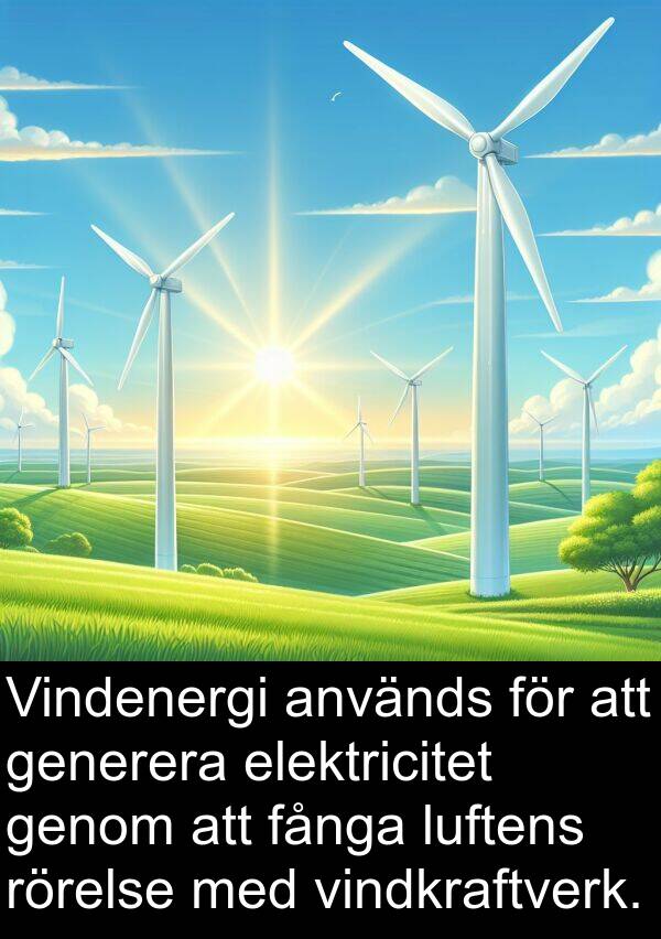 elektricitet: Vindenergi används för att generera elektricitet genom att fånga luftens rörelse med vindkraftverk.