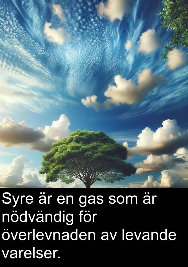 gas: Syre är en gas som är nödvändig för överlevnaden av levande varelser.