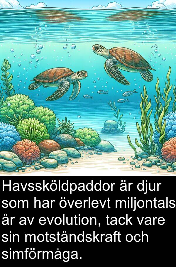 tack: Havssköldpaddor är djur som har överlevt miljontals år av evolution, tack vare sin motståndskraft och simförmåga.