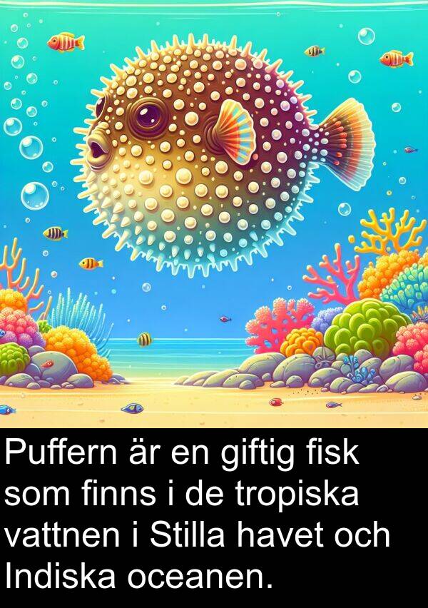 oceanen: Puffern är en giftig fisk som finns i de tropiska vattnen i Stilla havet och Indiska oceanen.