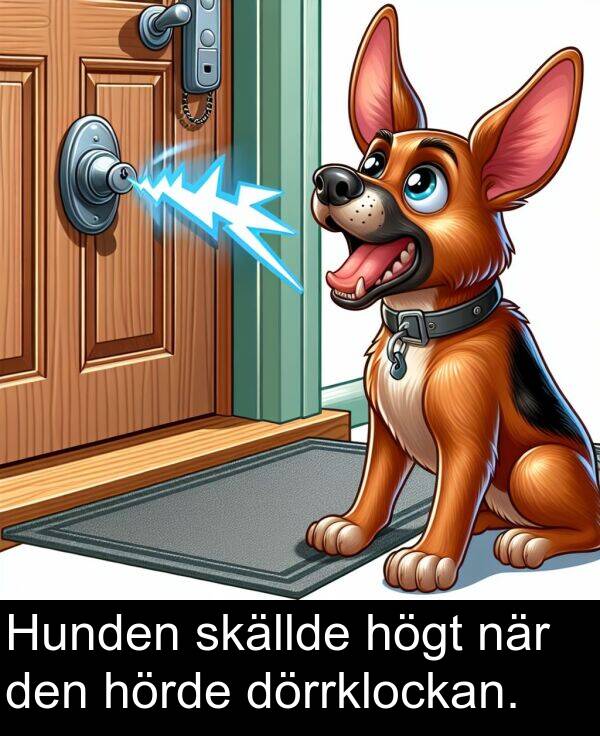 högt: Hunden skällde högt när den hörde dörrklockan.