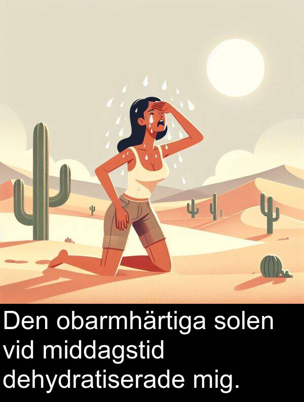 dehydratiserade: Den obarmhärtiga solen vid middagstid dehydratiserade mig.