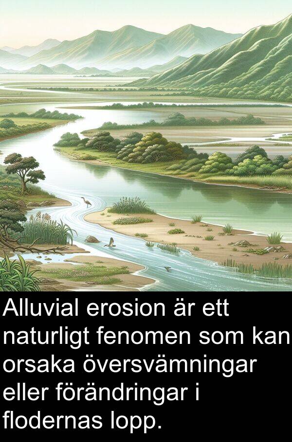 eller: Alluvial erosion är ett naturligt fenomen som kan orsaka översvämningar eller förändringar i flodernas lopp.