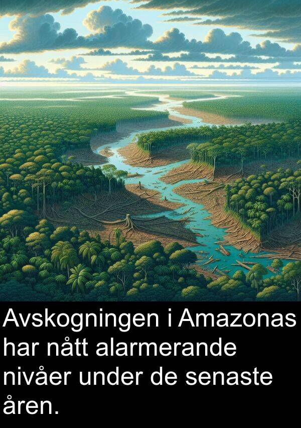 nått: Avskogningen i Amazonas har nått alarmerande nivåer under de senaste åren.