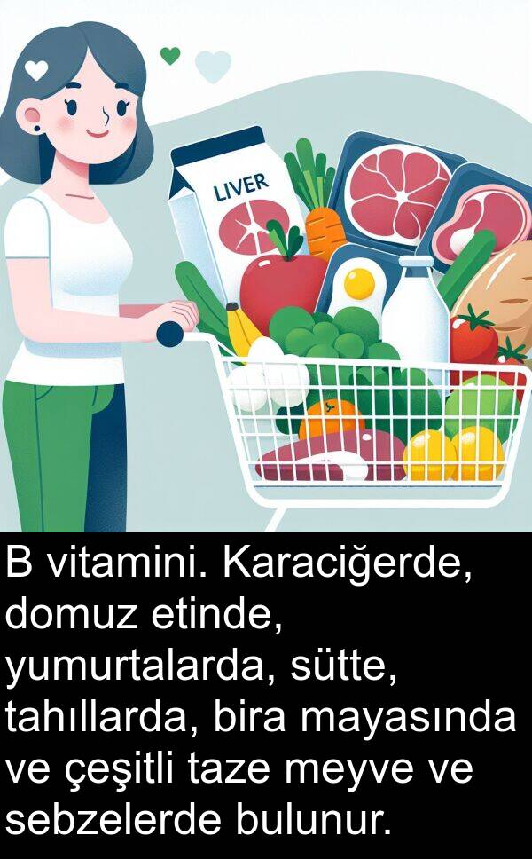 tahıllarda: B vitamini. Karaciğerde, domuz etinde, yumurtalarda, sütte, tahıllarda, bira mayasında ve çeşitli taze meyve ve sebzelerde bulunur.