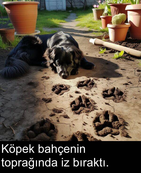 bahçenin: Köpek bahçenin toprağında iz bıraktı.