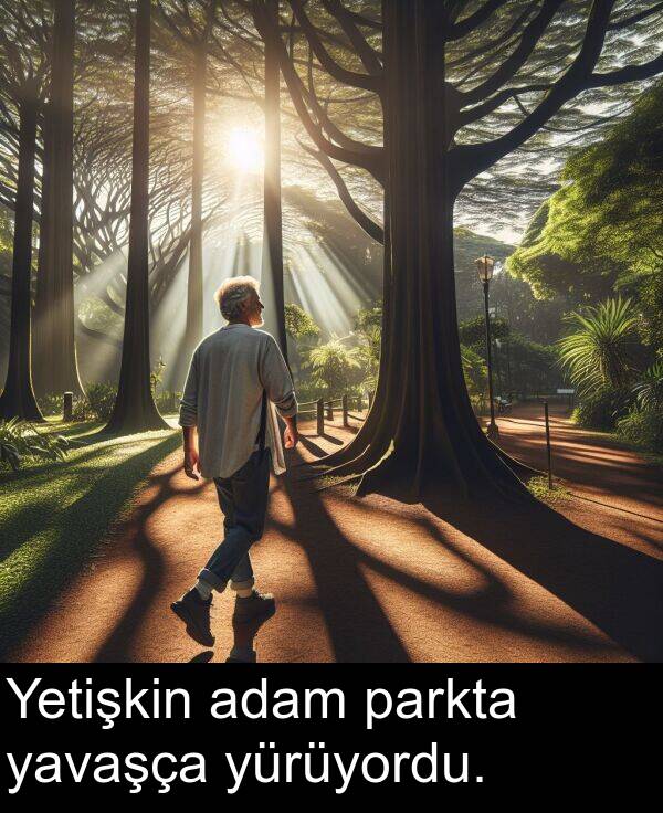 parkta: Yetişkin adam parkta yavaşça yürüyordu.