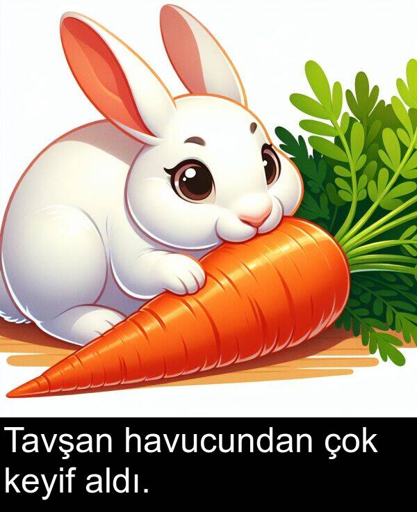 havucundan: Tavşan havucundan çok keyif aldı.