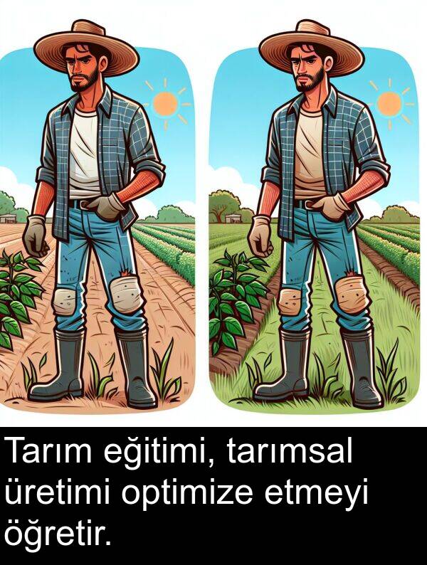 tarımsal: Tarım eğitimi, tarımsal üretimi optimize etmeyi öğretir.