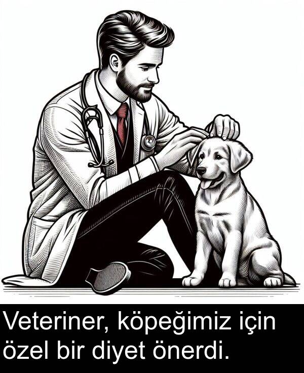 diyet: Veteriner, köpeğimiz için özel bir diyet önerdi.