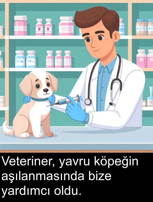 yardımcı: Veteriner, yavru köpeğin aşılanmasında bize yardımcı oldu.