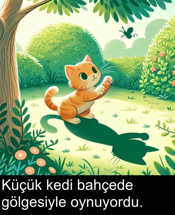 bahçede: Küçük kedi bahçede gölgesiyle oynuyordu.