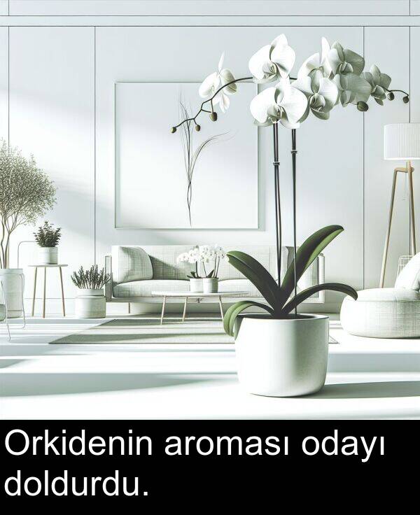 odayı: Orkidenin aroması odayı doldurdu.