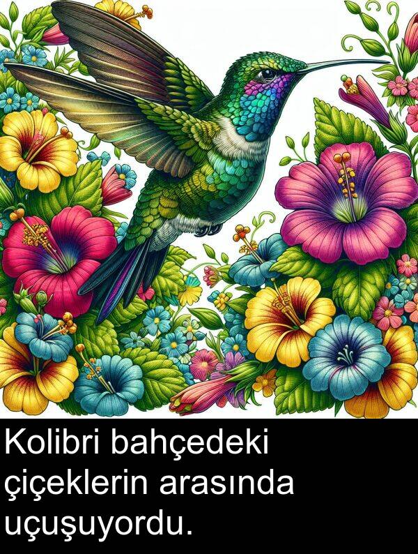 uçuşuyordu: Kolibri bahçedeki çiçeklerin arasında uçuşuyordu.