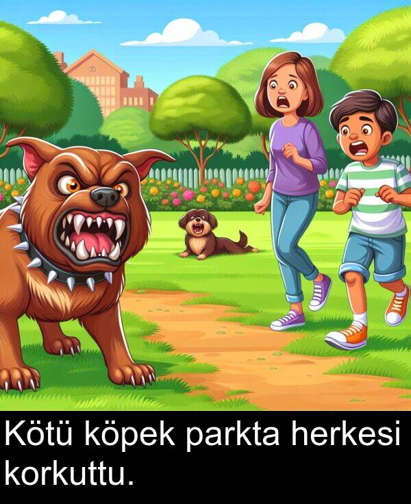 parkta: Kötü köpek parkta herkesi korkuttu.