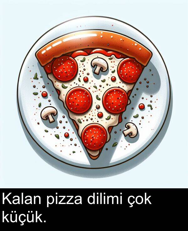 pizza: Kalan pizza dilimi çok küçük.