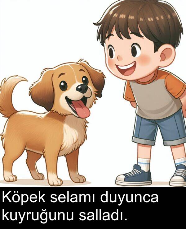 salladı: Köpek selamı duyunca kuyruğunu salladı.