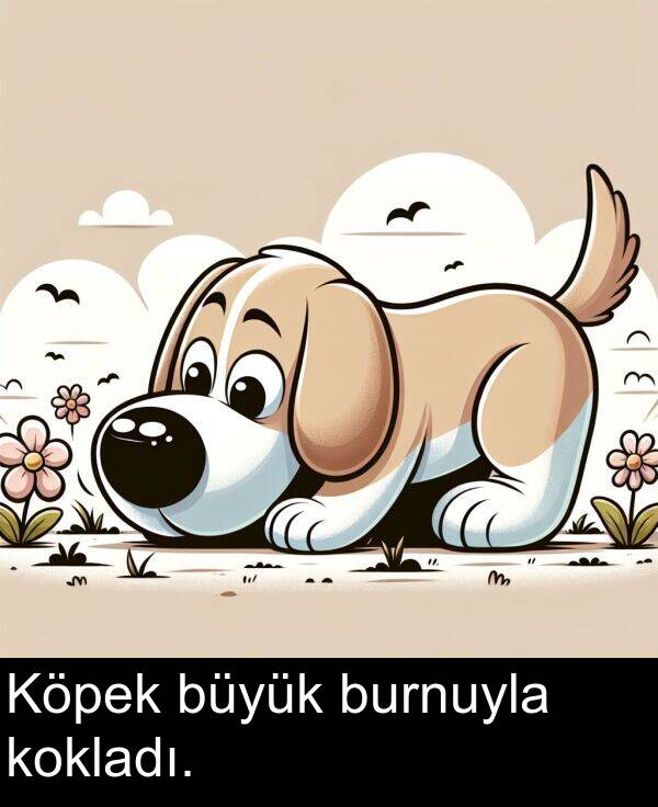 kokladı: Köpek büyük burnuyla kokladı.