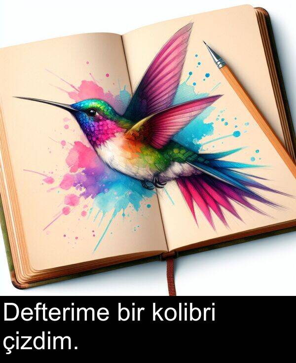 kolibri: Defterime bir kolibri çizdim.