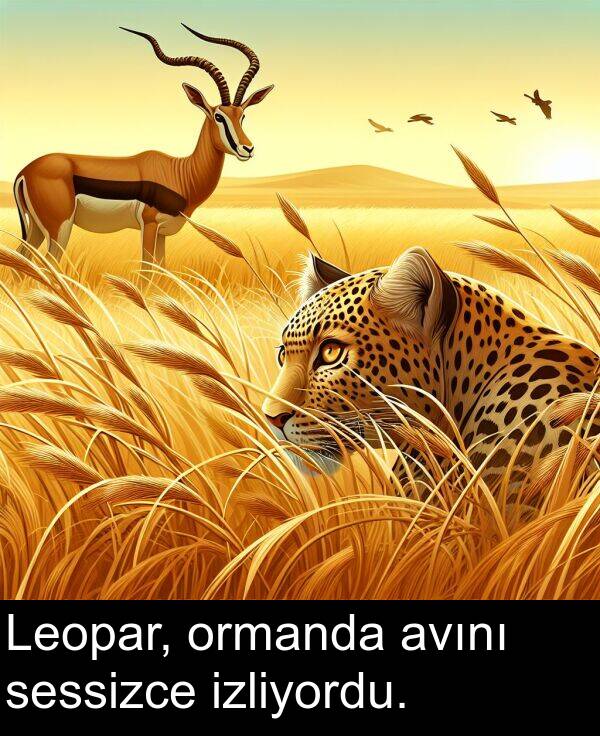 ormanda: Leopar, ormanda avını sessizce izliyordu.