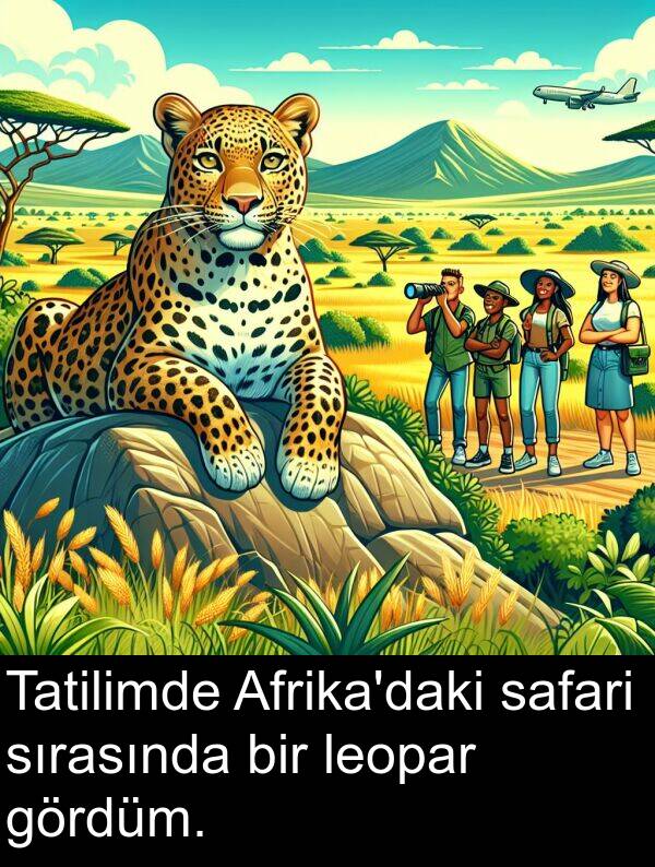 leopar: Tatilimde Afrika'daki safari sırasında bir leopar gördüm.