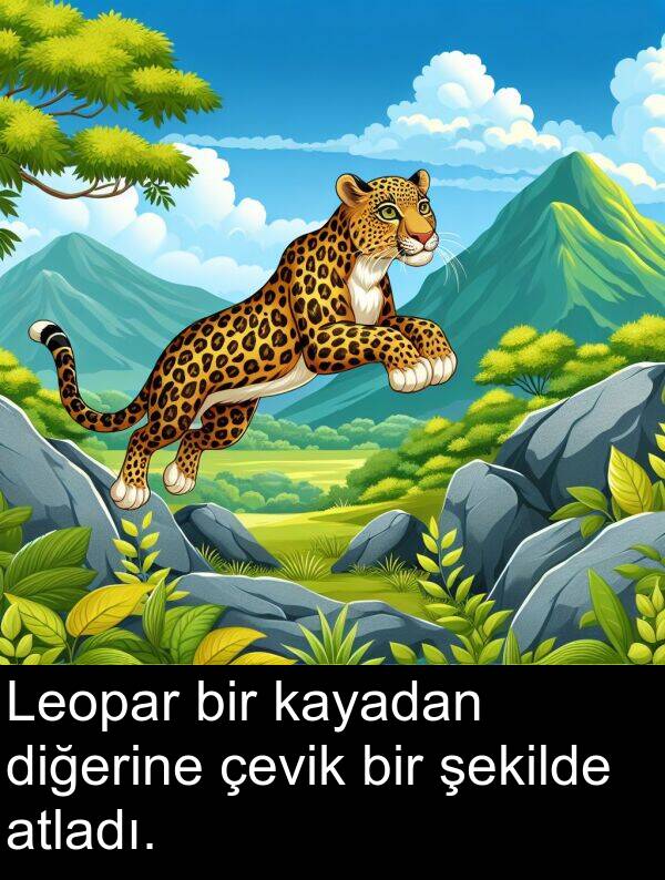 çevik: Leopar bir kayadan diğerine çevik bir şekilde atladı.