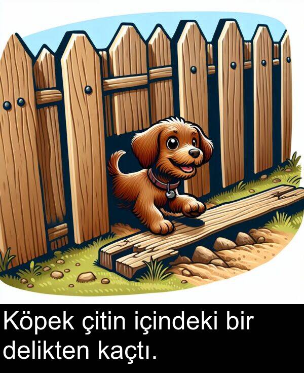 delikten: Köpek çitin içindeki bir delikten kaçtı.