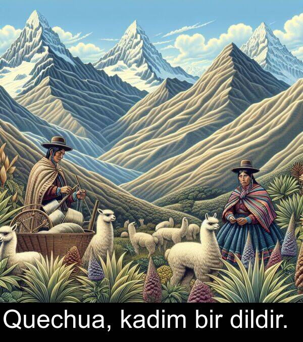 kadim: Quechua, kadim bir dildir.